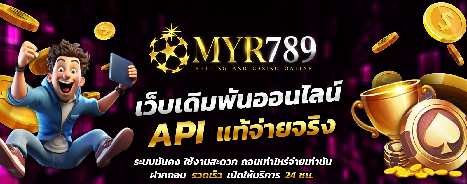 myr789-img-API